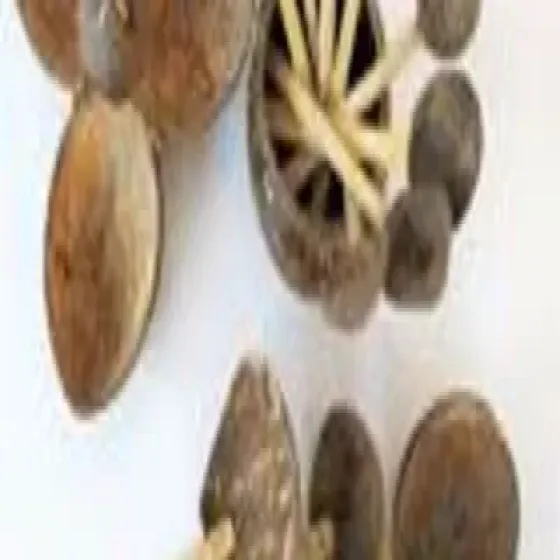 manufacturers-coconut-shell-craft-letroYJR.webp