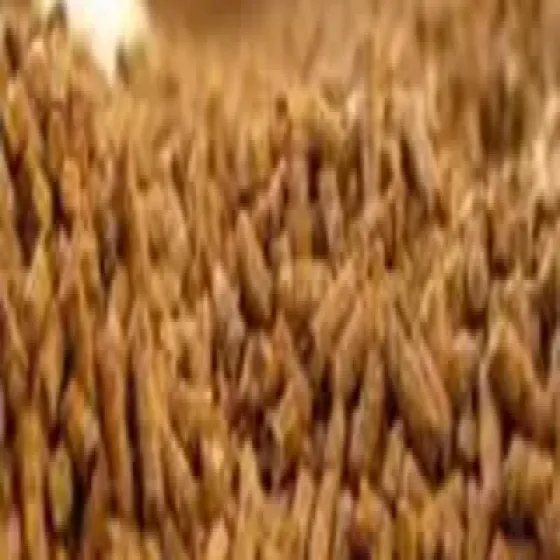 manufacturers-animal-feed-WocqtoYe.webp