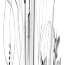 C Mount For Surgical Microscope Slit Lamp, Model 1188