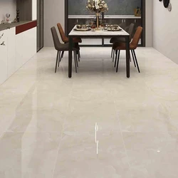 Interior Polished Tiles