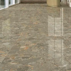 Glossy Designer Vitrified Tile