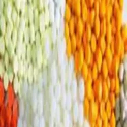 Zincolet- SB-212, Color White