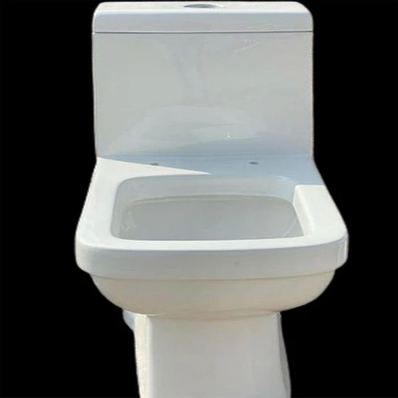 square-one-piece-toilet-2.webp
