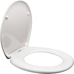 Ceramic Toilet Cover