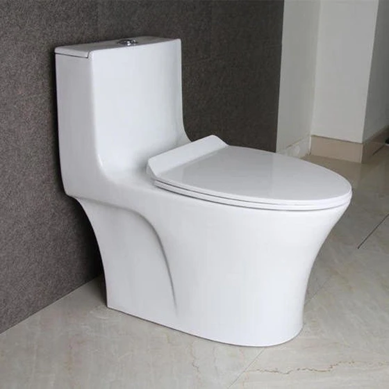 white-western-toilet-2.webp