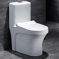 White Western Toilet 