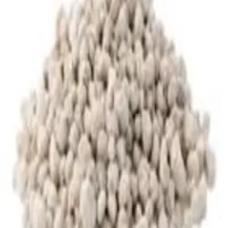 Boric Acid, Form Powder