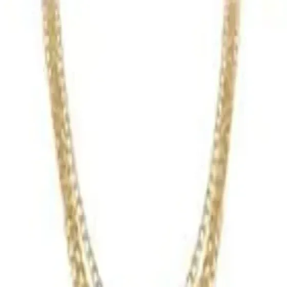 manufacturers-collar-accessories-8DtMnQXG.webp