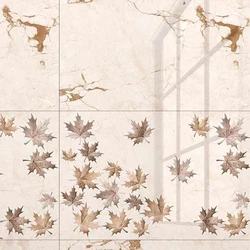 Gorgeous Polished Wall Tiles