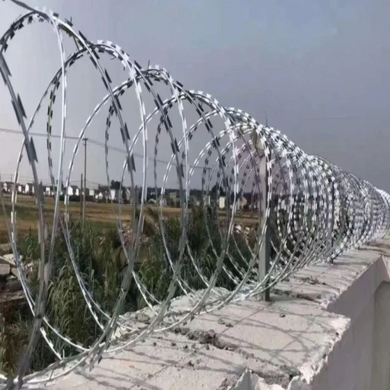 fencing-concertina-wire-2.webp