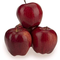 Fresh Apple 