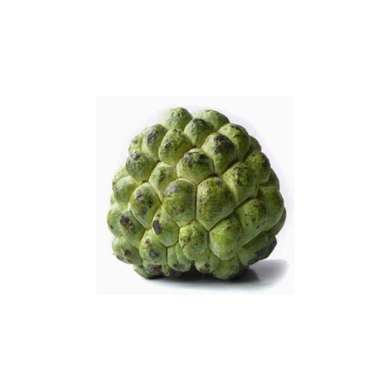 fresh-custard-apple-2.webp