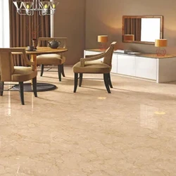 Glossy Ceramic Vitrified Tiles