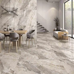 Ceramic Elevation Floor Tiles