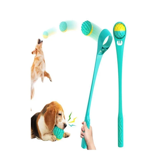 pet-dog-accessories-1.webp