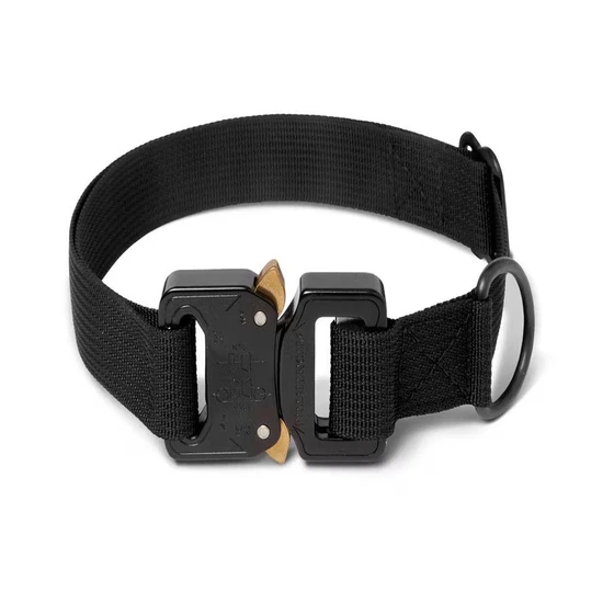 pet-dog-accessories-2.webp