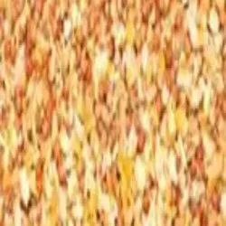 Bone Meal Manure, Brand N T C