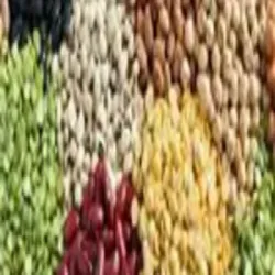 Innvative Moong Seeds, Packaging Type PP Bag