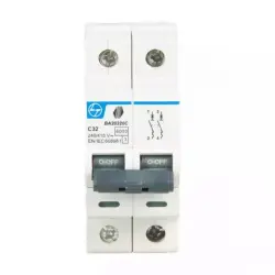 32A Double Pole 6KA TYPE C Miniature Circuit Breakers (MCBs) - C CURVE