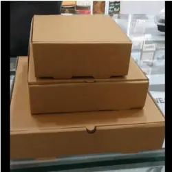 Plain Pizza Box, Property Disposable