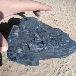 Wood Charcoal, UsageApplication Burning