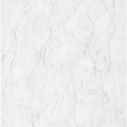 Double Charge Vitrified Tiles