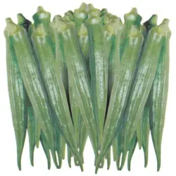 Nivi Okra Seeds, Type Hybrid