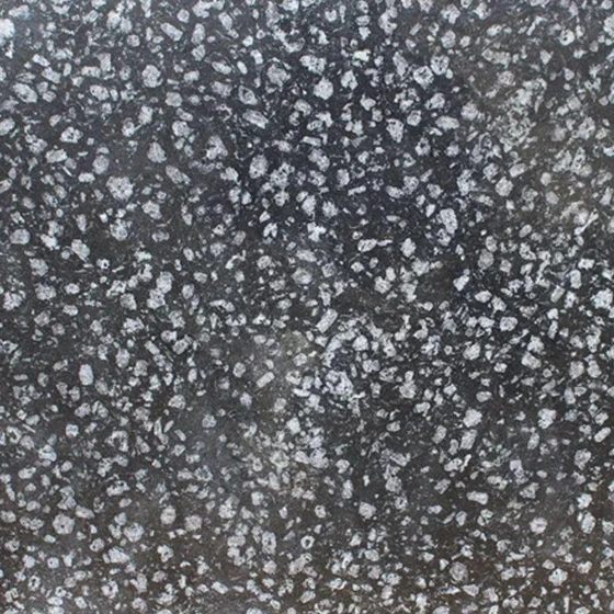 polished-coral-black-tiles-1.webp