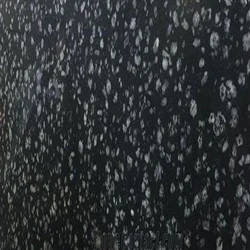 Polished Coral Black Tiles