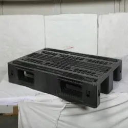 Export Pallet, Brand Aristo
