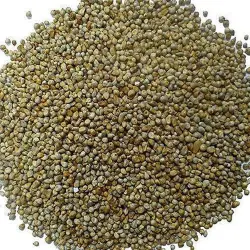 Hybrid Bajra Seed MP7878, Color Grey
