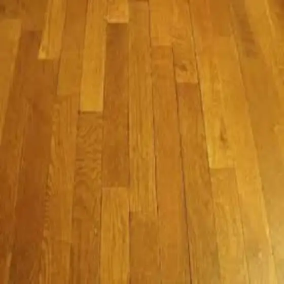 16155184-0-7JH6lHGd.webp