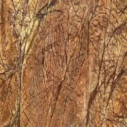 Rajnagar Marble, Material Marble