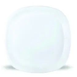 Disposable Plate, Paper Gsm 300