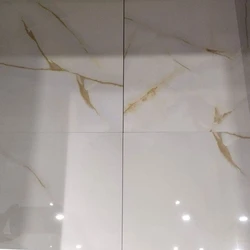 Glossy Ceramic Floor Tiles