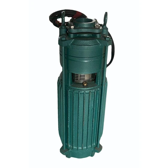 vertical-openwell-pump-1.webp