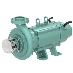 Horizontal Open Well Submersible