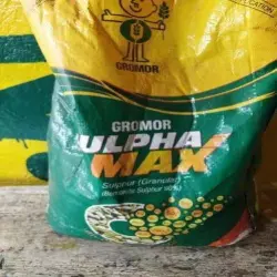 Bio Tech Zincated Bentonite Sulphur Imported Micronutrients, Packaging 25K