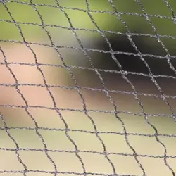 Anti Bird Net With instant service, Color White