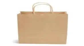 Designer Shopping Paper Bags, UsageApplication Shopping