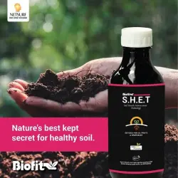Natural Plant Growth Promoter, Grade Standard Bio Tech Grade
