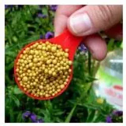 Samruddhhi CMS Soil fertilizer, Packaging Type Small