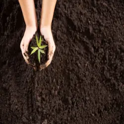 Organic Compost, Target Crops All Crops