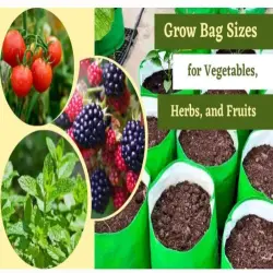 Grow Bag, Color White