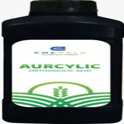 Orthosilicic Acid, Purity 9999