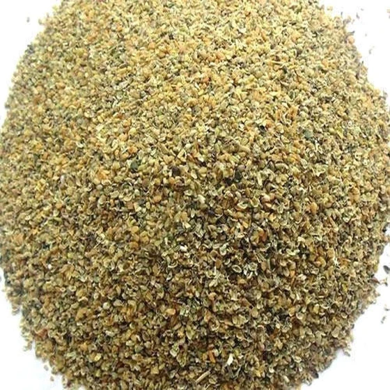 maize-cattle-poultry-food-2.webp