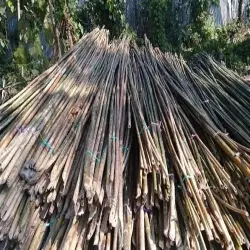 Bamboo Pole, Material Murli Bamboo
