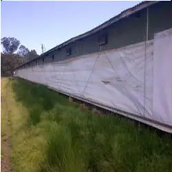 Poultry Farm Tarpaulin, Material HDPE