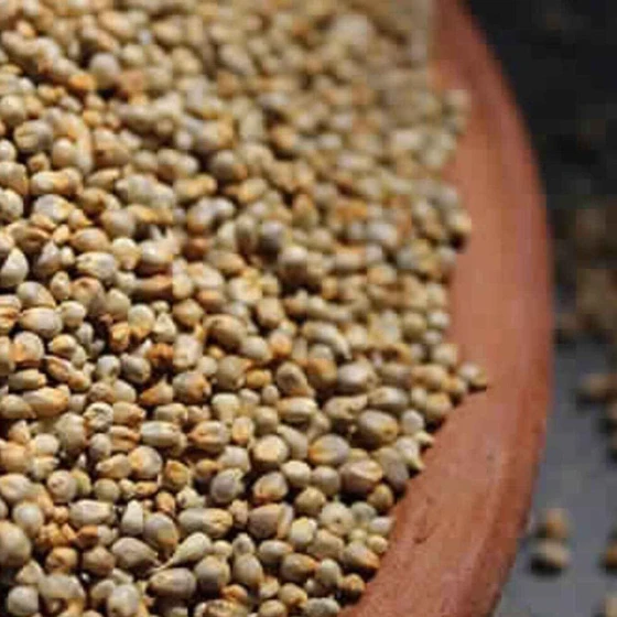 pearl-millet-seeds-2.webp