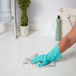 Cera Tile Cleaner, Form liquid